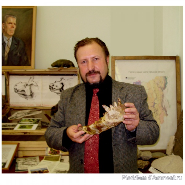 пермь, Урал, Estemmenosuchus, Ежово, Очёр, Permian