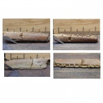 челюсть на определение