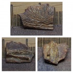 Рыбная часть.