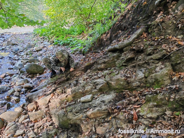 тоар, Адыгея, р. Белая