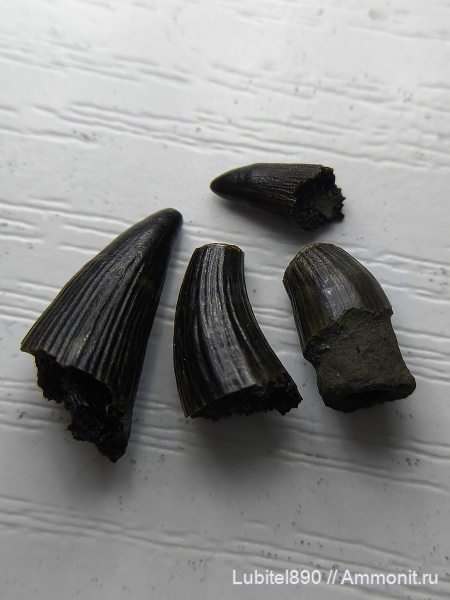 юра, водные рептилии