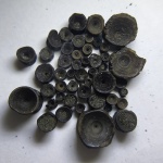 Позвонки из Мнёвников.