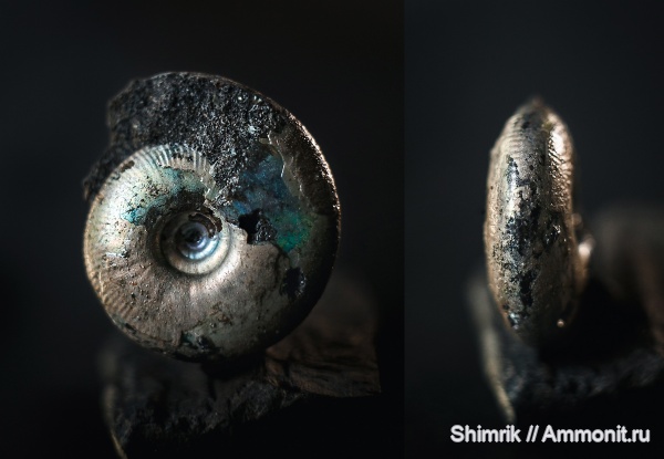 песчаные дюны Еганово