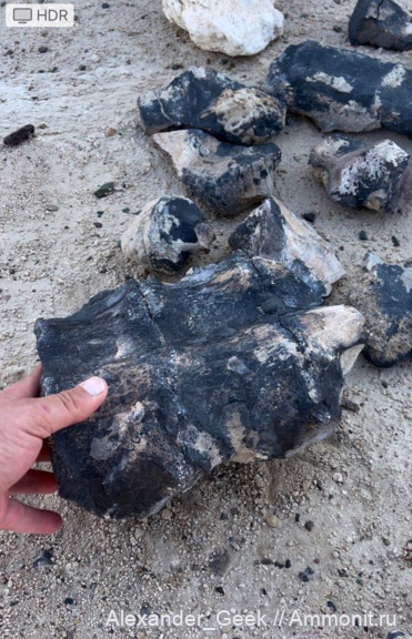 Монголия, Гоби