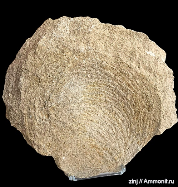 Ланьшинский карьер, Тульская область