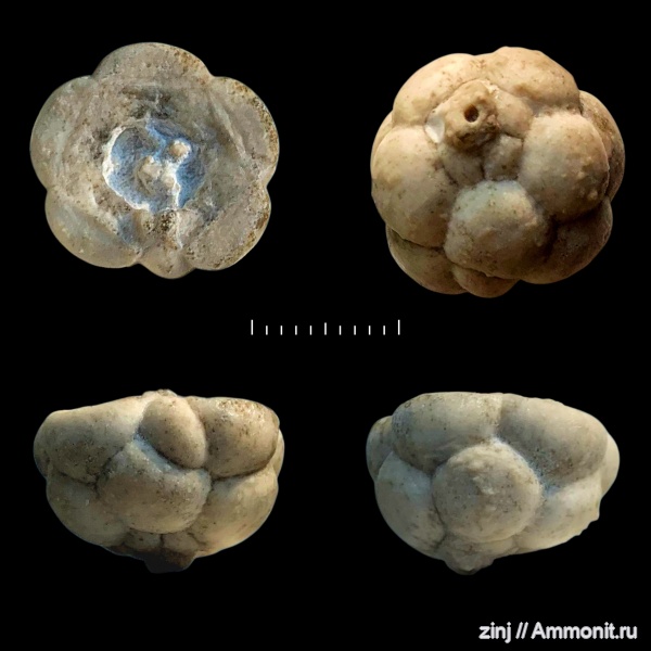 Пирочинский карьер, Московская область