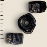 Позвонок костной рыбы