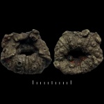 Ёжик в пирите