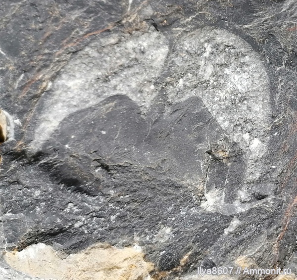 Карьер Известковый