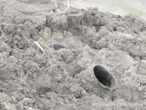 юра, келловей, Дубки, Callovian, Jurassic, Middle Jurassic