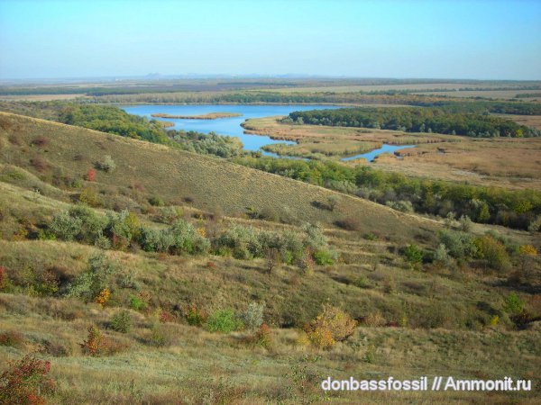 Места находок