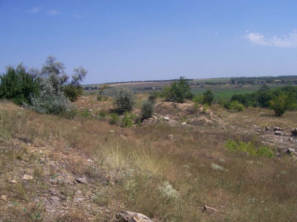 карбон, Донецкая область