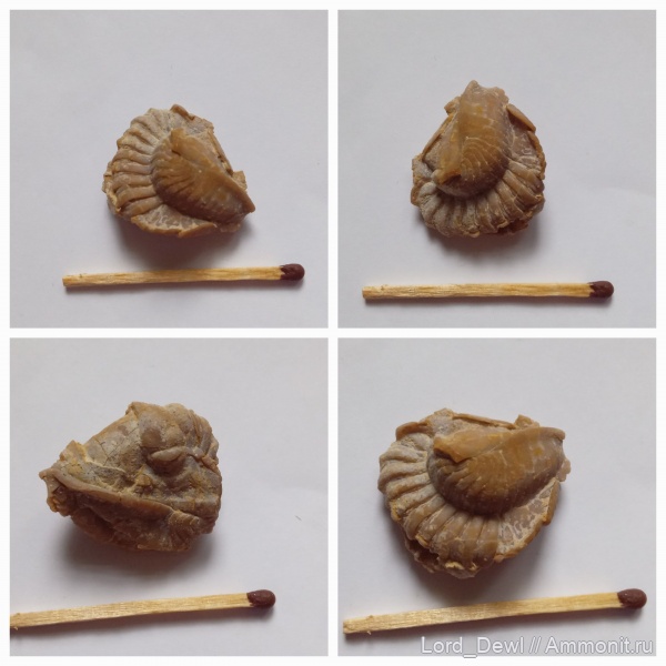 Гжель, 55 км.