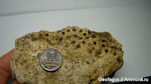 р. Шмелевка