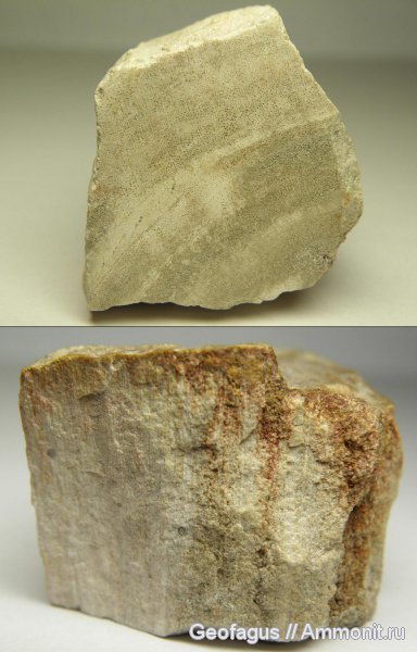 древесина, окаменевшее дерево, Индонезия