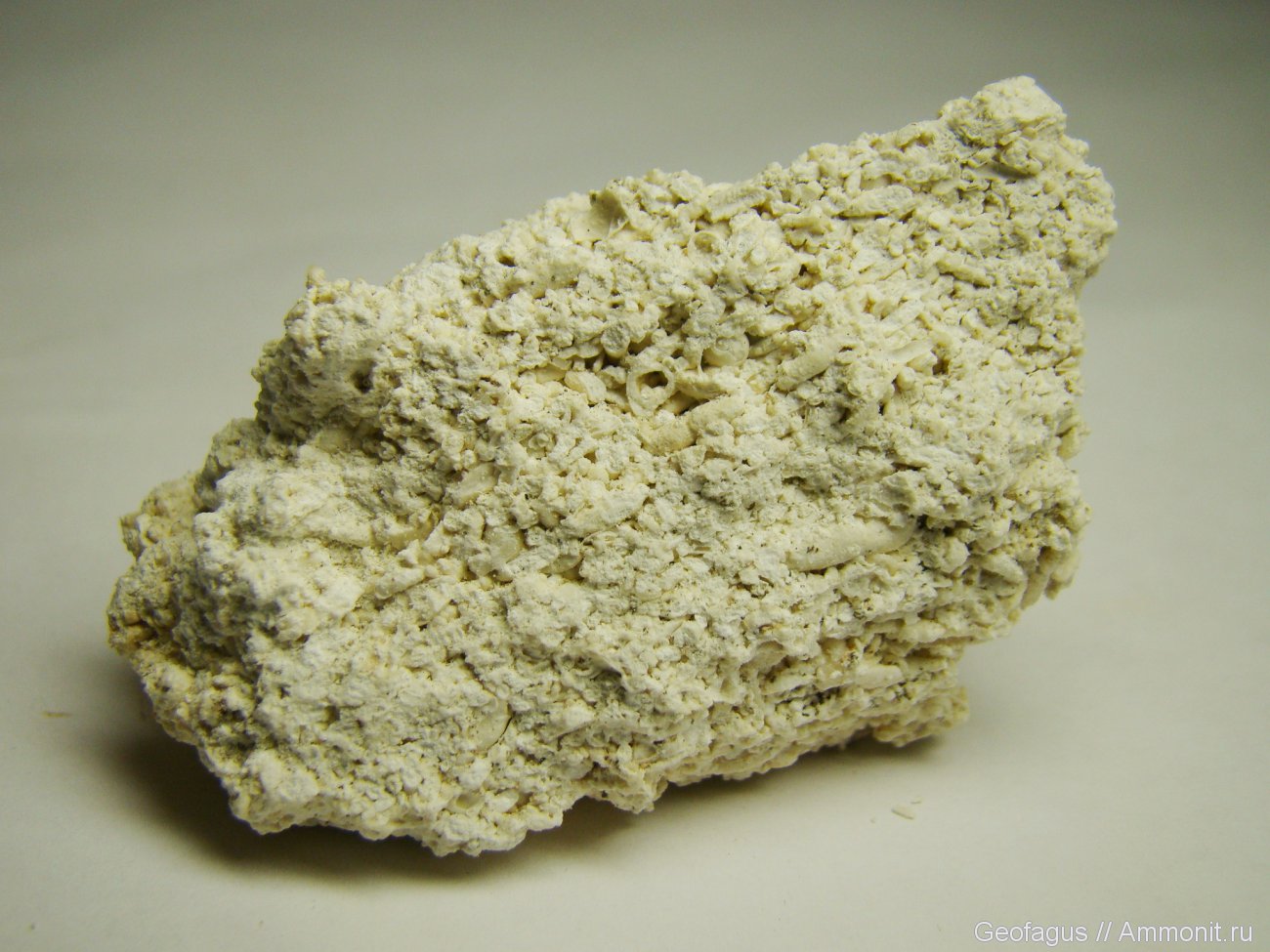 Фузулиновый известняк (состоит из фораминифер Fusulina) - Другая ...