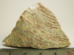 Строматолиты (строматолитовый доломит)