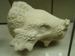 Скульптура головы парейазавра