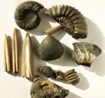 Сборы на отвале.