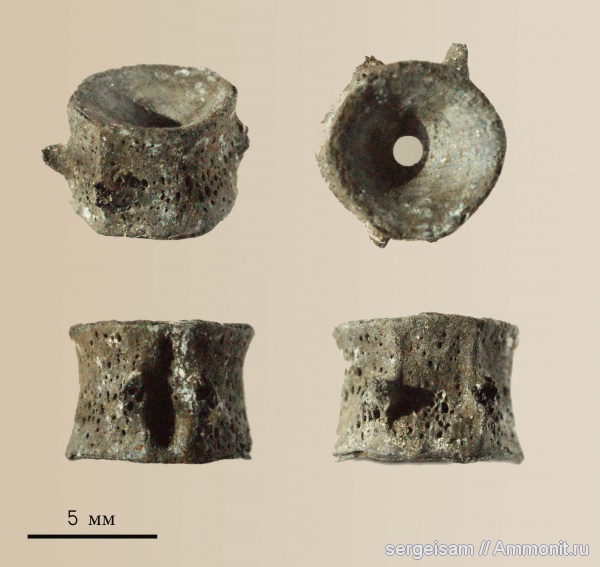 юра, рыбы, Мневники, Jurassic, fish