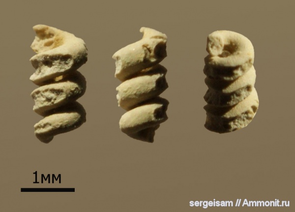 карбон, Гжель