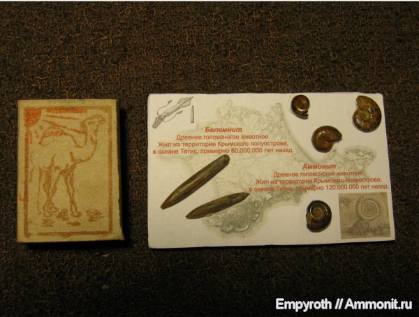 мел, Крым, палеоарт, аптский ярус, paleoart, Aptian, Cretaceous