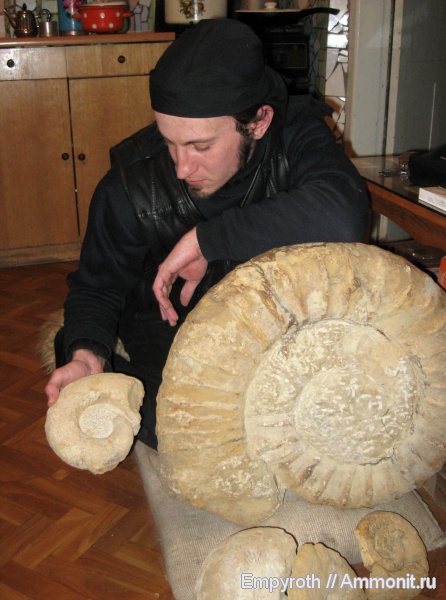 Аммониты. Крым