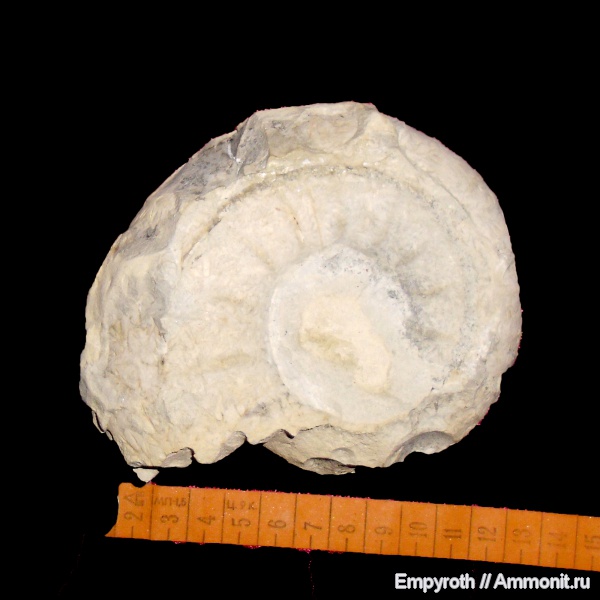 Крым, верхний мел, Бахчисарайский район, Upper Cretaceous