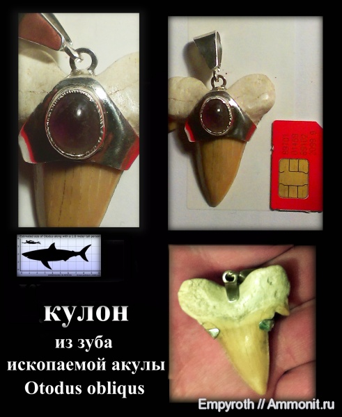 палеоген, палеоарт, paleoart, Otodus obliqus