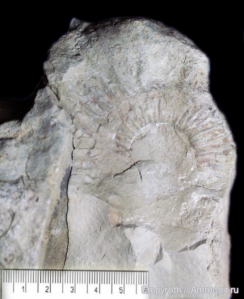 юра, Крым, Jurassic