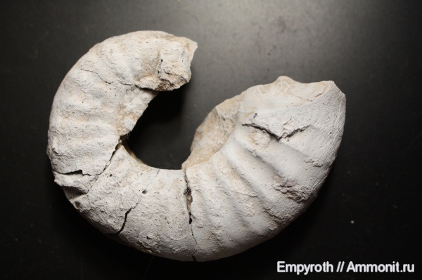 юра, Крым, синемюр, Sinemurian, Jurassic