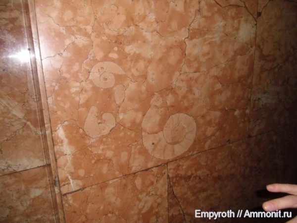 палеометро