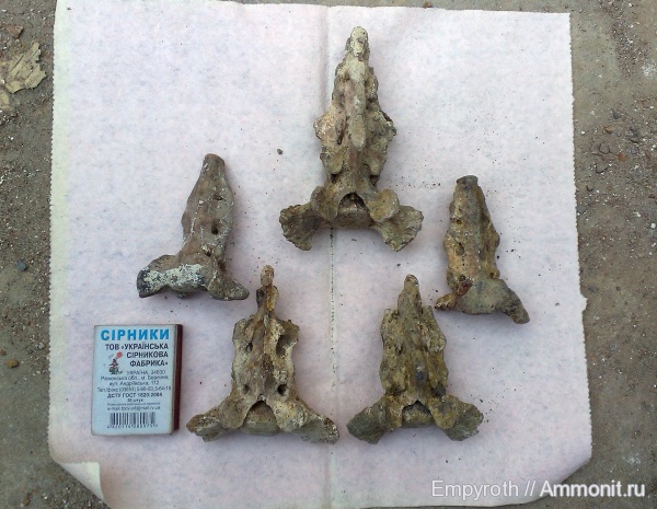 Крым, сармат