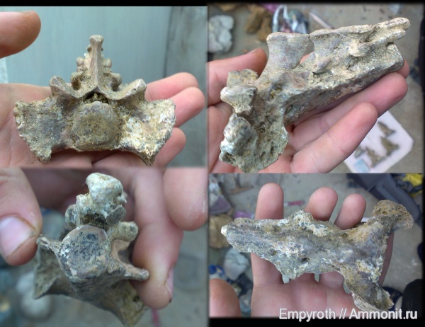 Крым, сармат