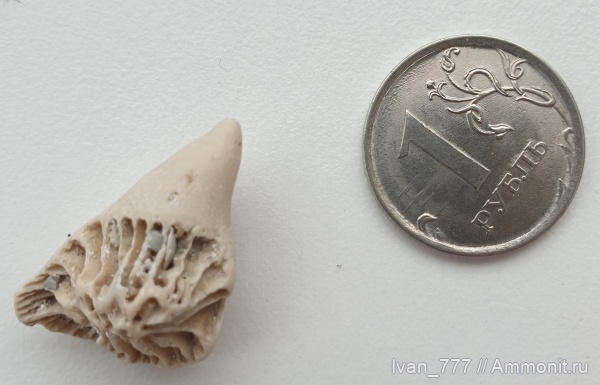 Мои находки