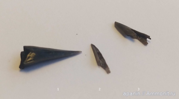 Фили, Кунцево, Суворовский парк