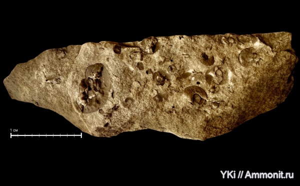 Угрешский (Дзержинский) карьер