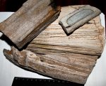 окаменелая древесина