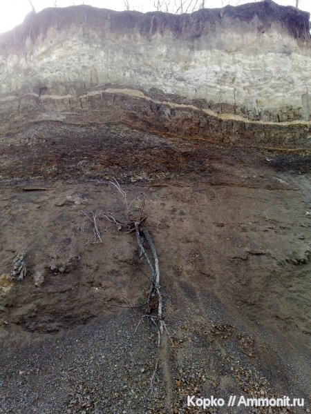 Места раскопок