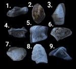 Ассорти запчастей #2