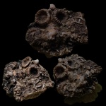 Девонский противогаз