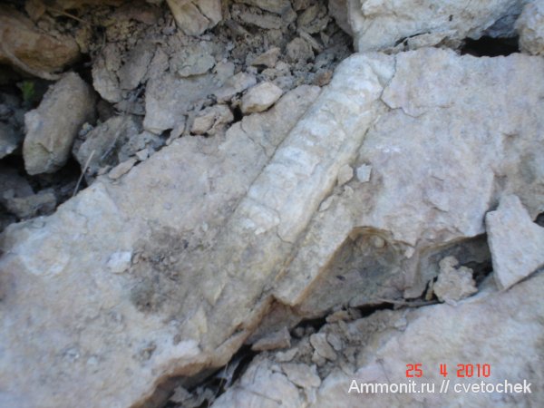 каньон реки Лава