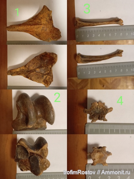 Южное побережье Таганрогского залива