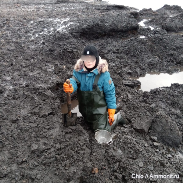 окаменелости, юрский период, Марково
