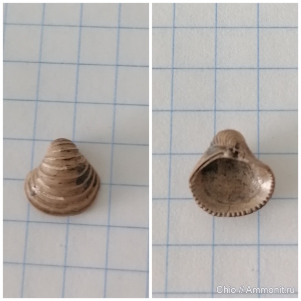 Юрский период