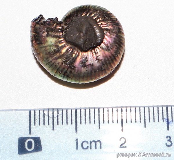 Март 2025 года