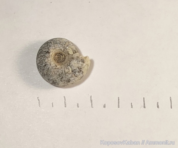 Мои похождения