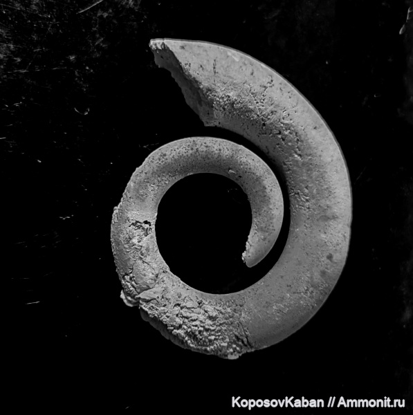 Найдено не мной ( обмены , покупки )