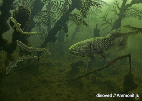 девон, Devonian, палеоарт, Holoptychius, Rhacophyton
