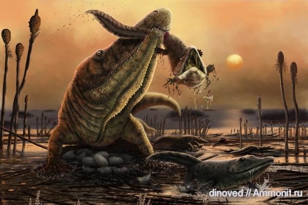 триас, палеоарт, Thoosuchus, Тихвинское, Chasmatosuchus